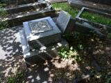 image of grave number 689065